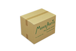 könyves költöztetődoboz